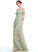 Embellishment SplitFront Floor-Length Fabric A-Line Neckline Length V-neck Silhouette Ruffle Karlie Cap Sleeves