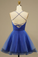 Christina Royal Blue Mesh Net V-neck Homecoming Homecoming Dresses Party Dress