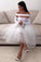 Denisse Homecoming Dresses Sexy White For Women Long Sleeve Short CD10171