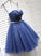 Brielle Homecoming Dresses Cute Dark Blue Tulle Short Dress CD1176