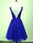 Homecoming Dresses Lace Ariana Lovely Blue V-Neckline Applique CD12263