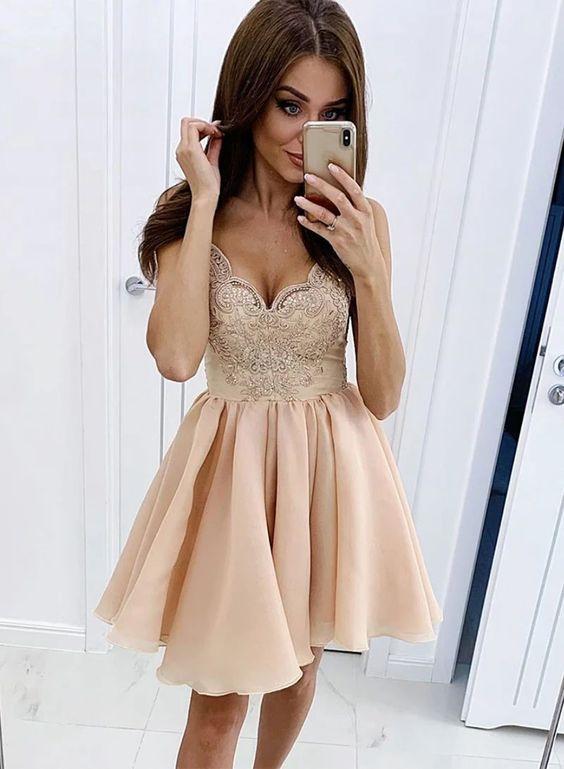 Champagne V Neck Short Dress Laura Homecoming Dresses Lace CD2583