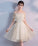 Champagne Tulle Homecoming Dresses Alexus Short Dress Champagne CD3036