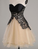 Black Dress Sweatheart Lace Maci Homecoming Dresses Neck Dress CD3124