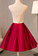 BURGUNDY LACE APPLIQUE Homecoming Dresses Hailie SHORT DRESS LACE CD3895