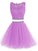 Purple Appliques Short Elegant Graduation Dress Brynlee Homecoming Dresses CD5861